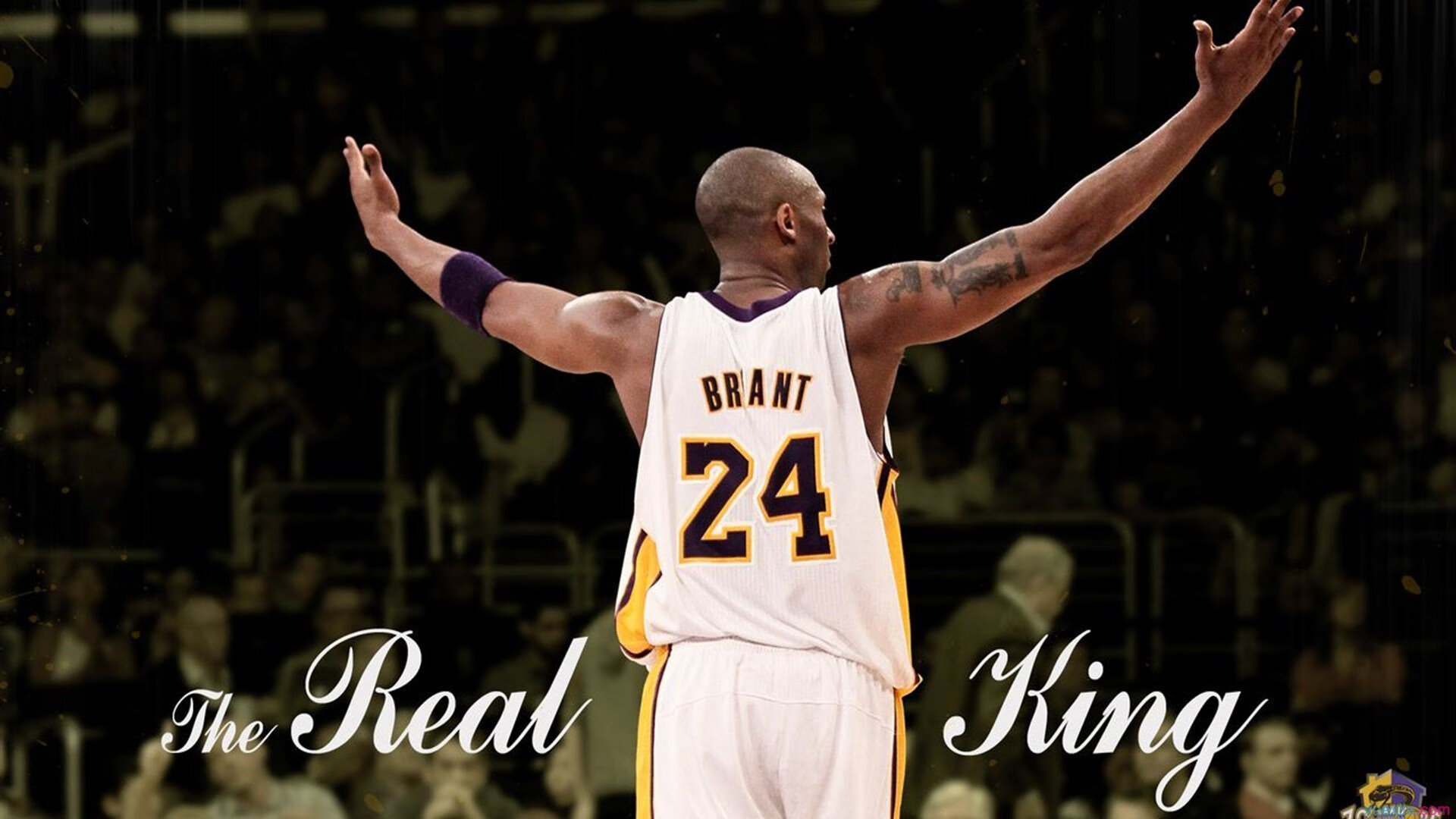 【比赛精彩片段】逆境中坚韧不拔的运动员战术应用集锦,运动员战术能力定义